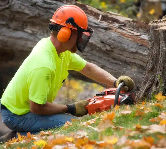 tree services Siler City